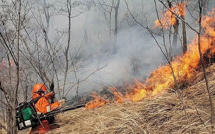 Argustec解決了森林火災警報中的三個主要問題